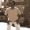 Avatar de Hildebrand_vM33