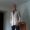 Avatar de Andreu_fd