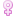 Genre - Femme